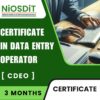 Certificate in Data Entry Operator By NiOSDiT : Best Govt Computer Training Institute In Kolkata