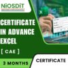 Certificate in Advance Excel By NiOSDiT : Best Govt Computer Training Institute In Kolkata