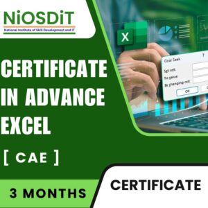 Certificate in Advance Excel By NiOSDiT : Best Govt Computer Training Institute In Kolkata