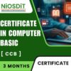 Certificate in Computer Basic By NiOSDiT : Best Govt Computer Training Institute In Kolkata